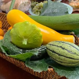 Meet your Posher, Xia